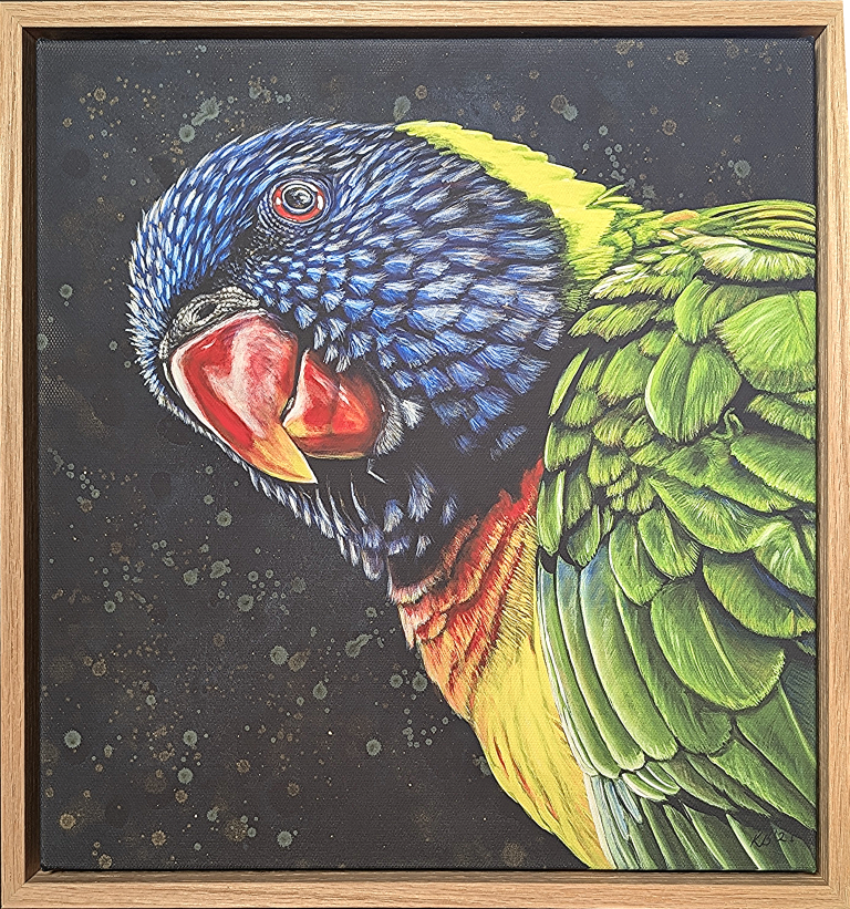 Framed fine art reproduction print of Shazza the rainbow lorikeet by Kelly Batsiokis.