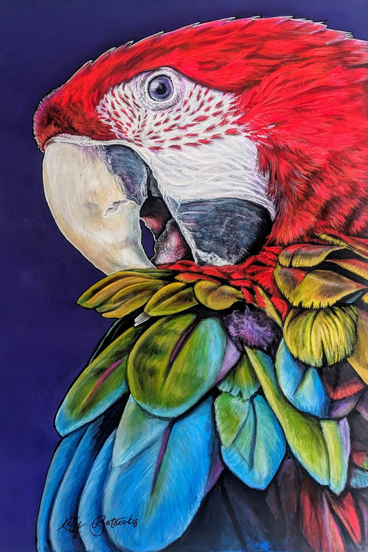 Bruno the Macaw – A vibrant acrylic painting capturing the dynamic colours and lively spirit of a macaw. Original art by Kelly Batsiokis.