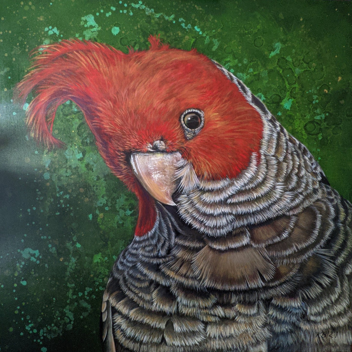 Elvis the Gang - gang Cockatoo (Reproduction Print) - Kelly Batsiokis Art
