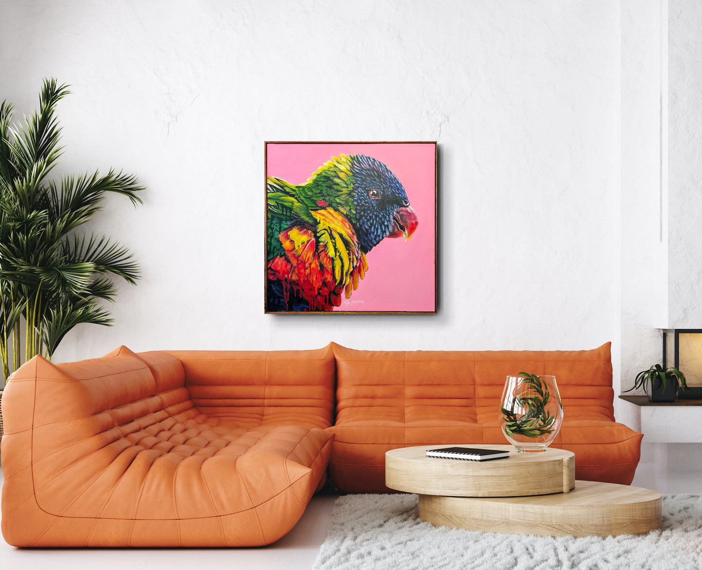 Larry the Rainbow Lorikeet