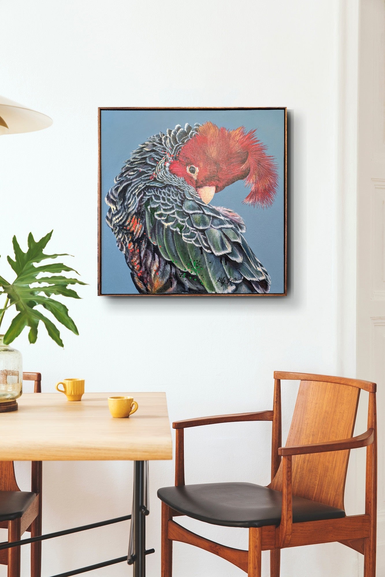 Garry the Gang Gang Cockatoo