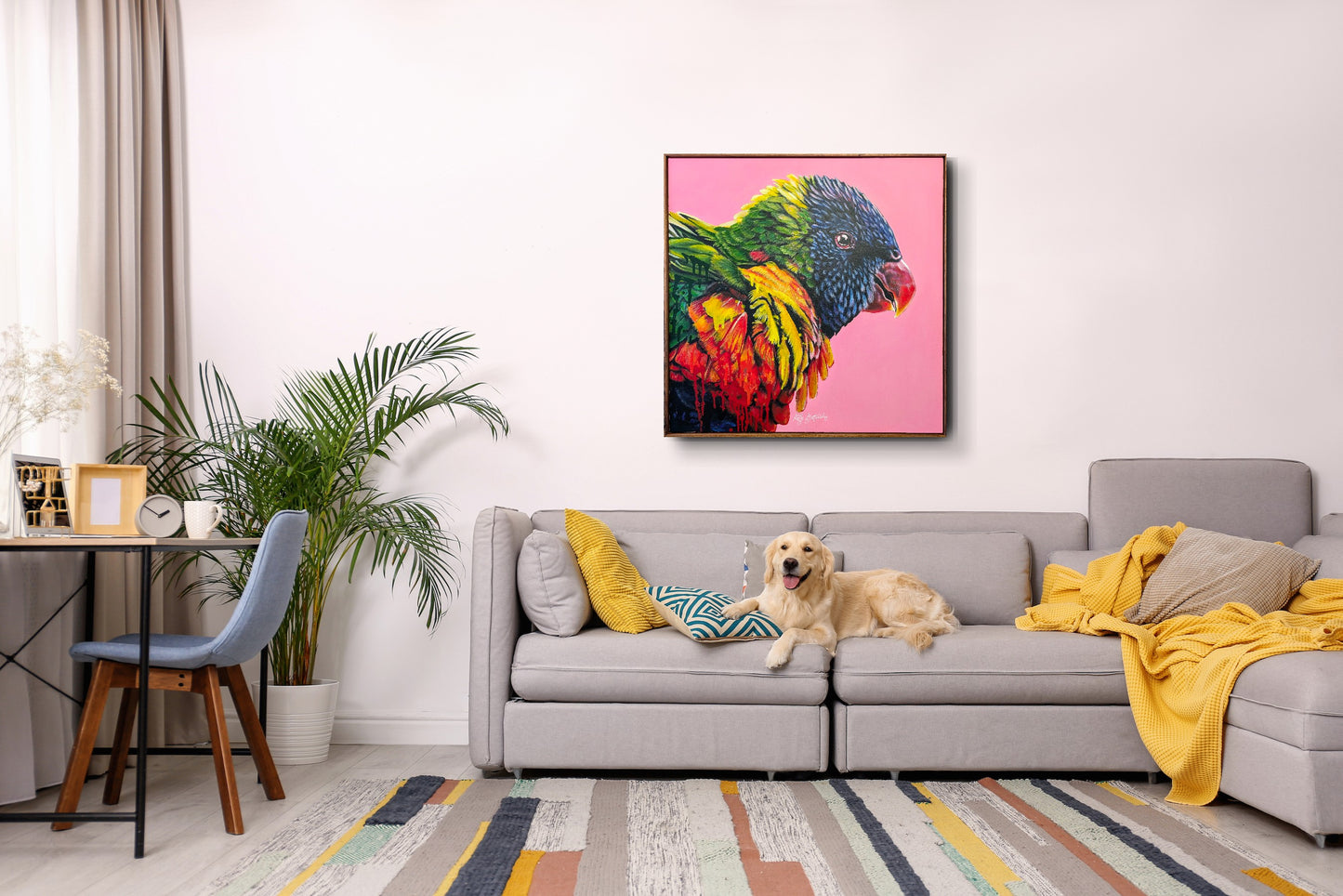 Larry the Rainbow Lorikeet