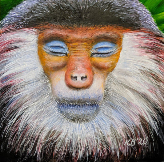 Zen Monkey - Red Shanked Douc – A vibrant acrylic painting capturing the serene pose and brilliant colours of this critically endangered primate. Art by Kelly Batsiokis.