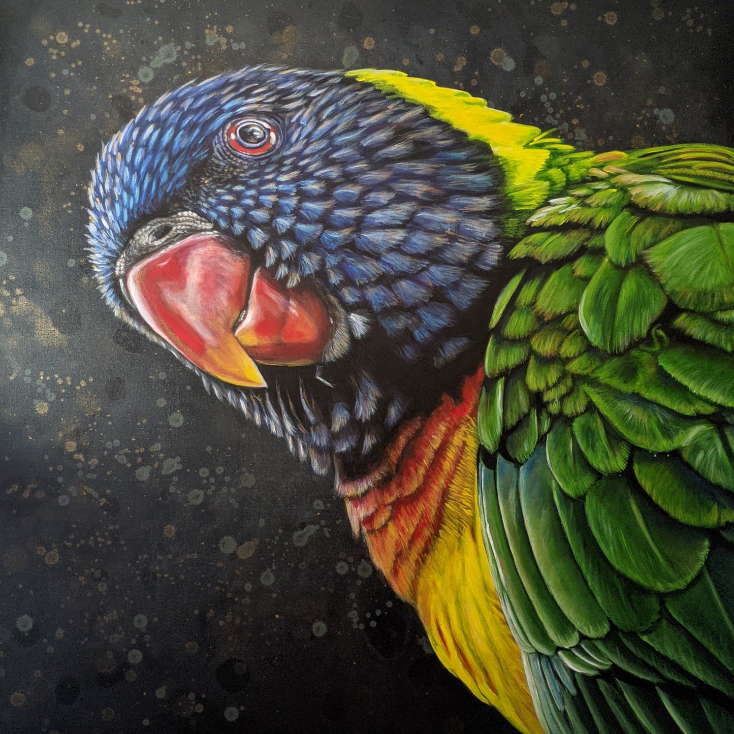 Shazza the Rainbow Lorikeet (Reproduction Print)