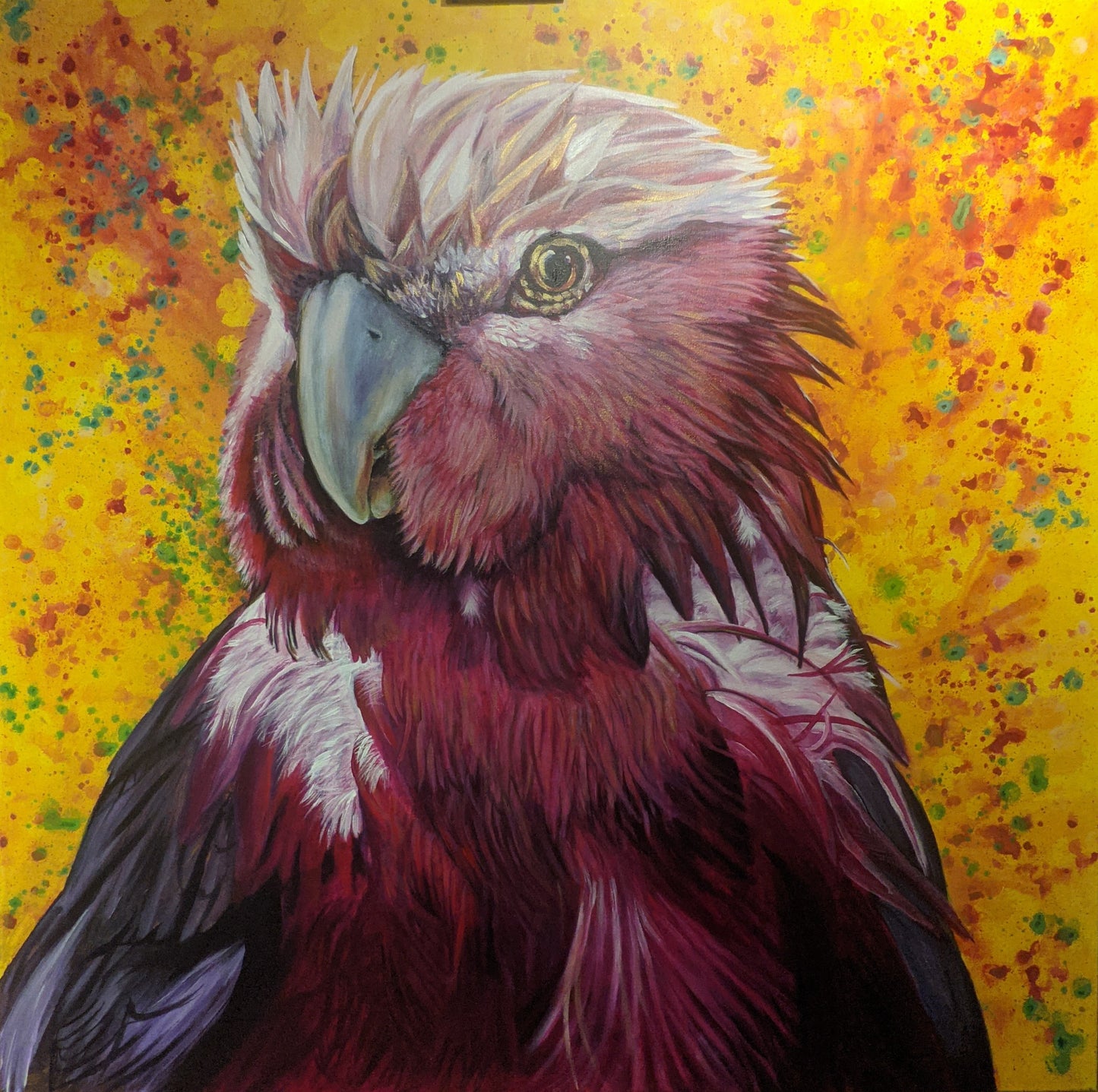 Wally the Galah (Reproduction Print)