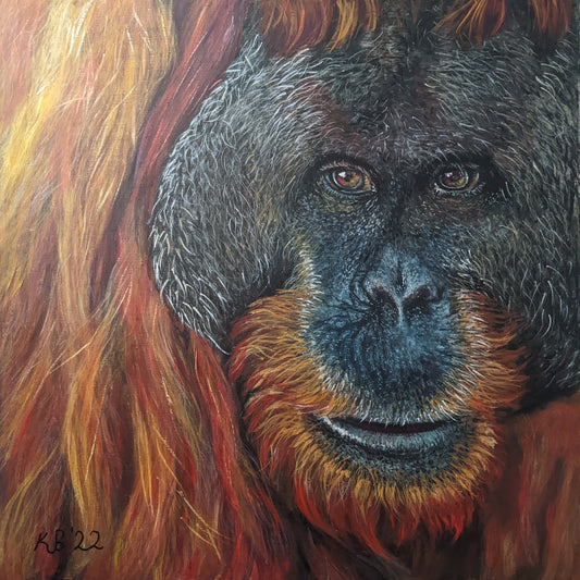 Old Man Of The Forest – A captivating acrylic painting depicting an orangutan, highlighting its expressive features and rich textures. Original art by Kelly Batsiokis
