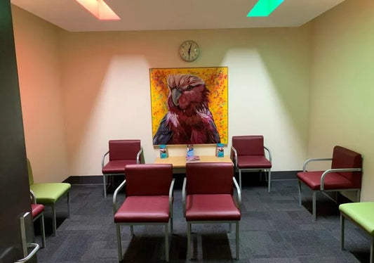 Brightening the Cardiology Unit at the Lyell McEwin Hospital - Kelly Batsiokis Art