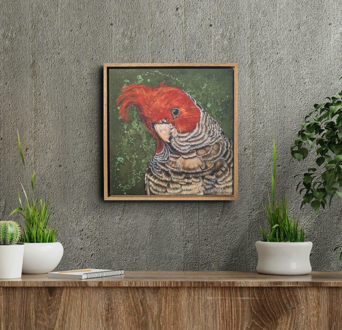Framed artwork of Elvis the Gang Gang Cockatoo Fine Art Canvas Print by Kelly Batsiokis on a wall above a wooden surface with plants to show scale