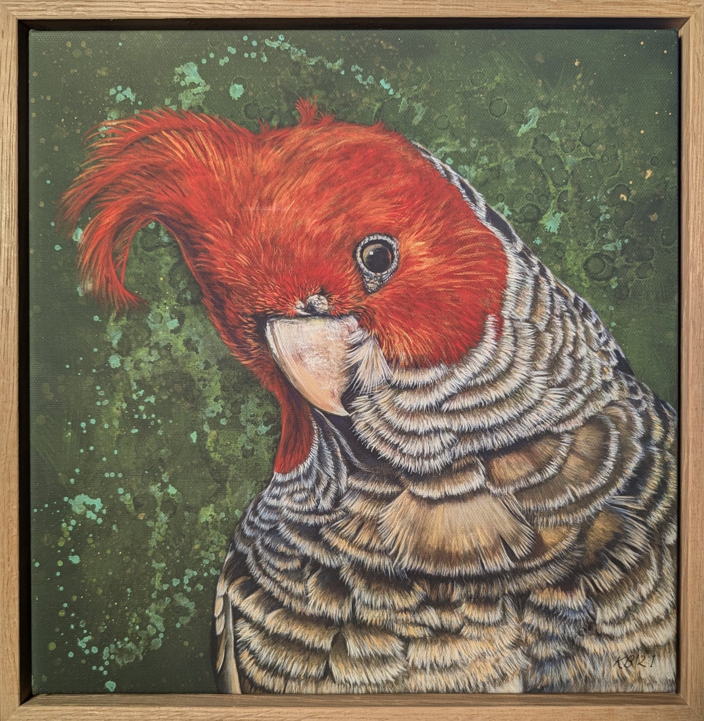 Elvis – Gang-gang Cockatoo Print