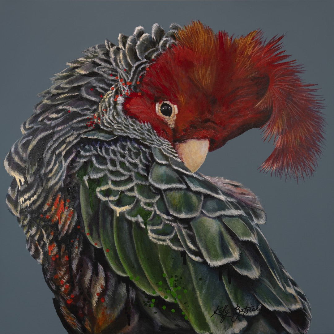 Garry the Gang-gang Cockatoo canvas print by Kelly 