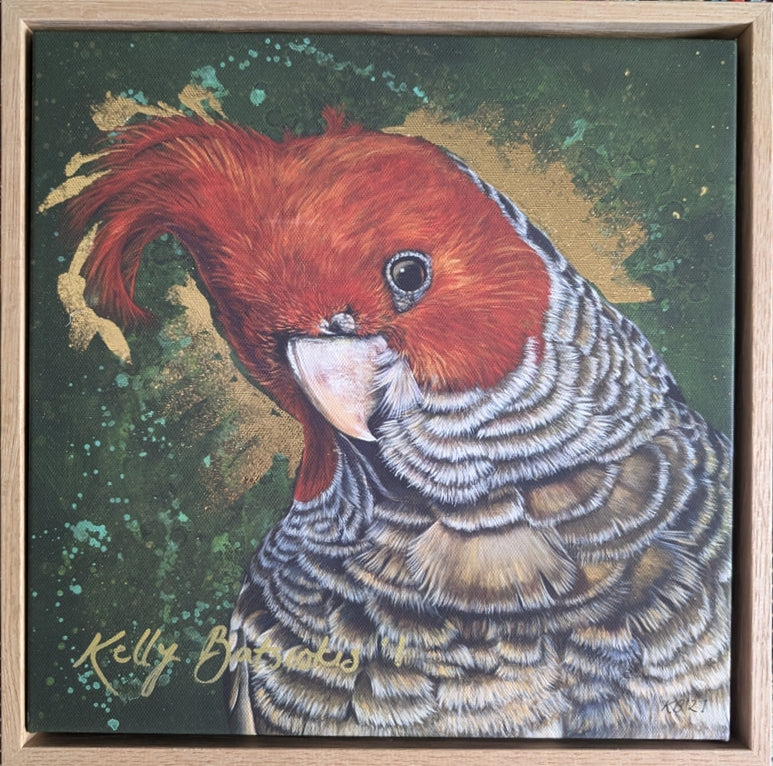 Framed, embellished fine art print of Elvis the Gang Gang Cockatoo by Kelly Batsiokis.