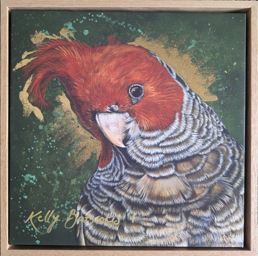 Framed, embellished fine art print of Elvis the Gang Gang Cockatoo by Kelly Batsiokis.