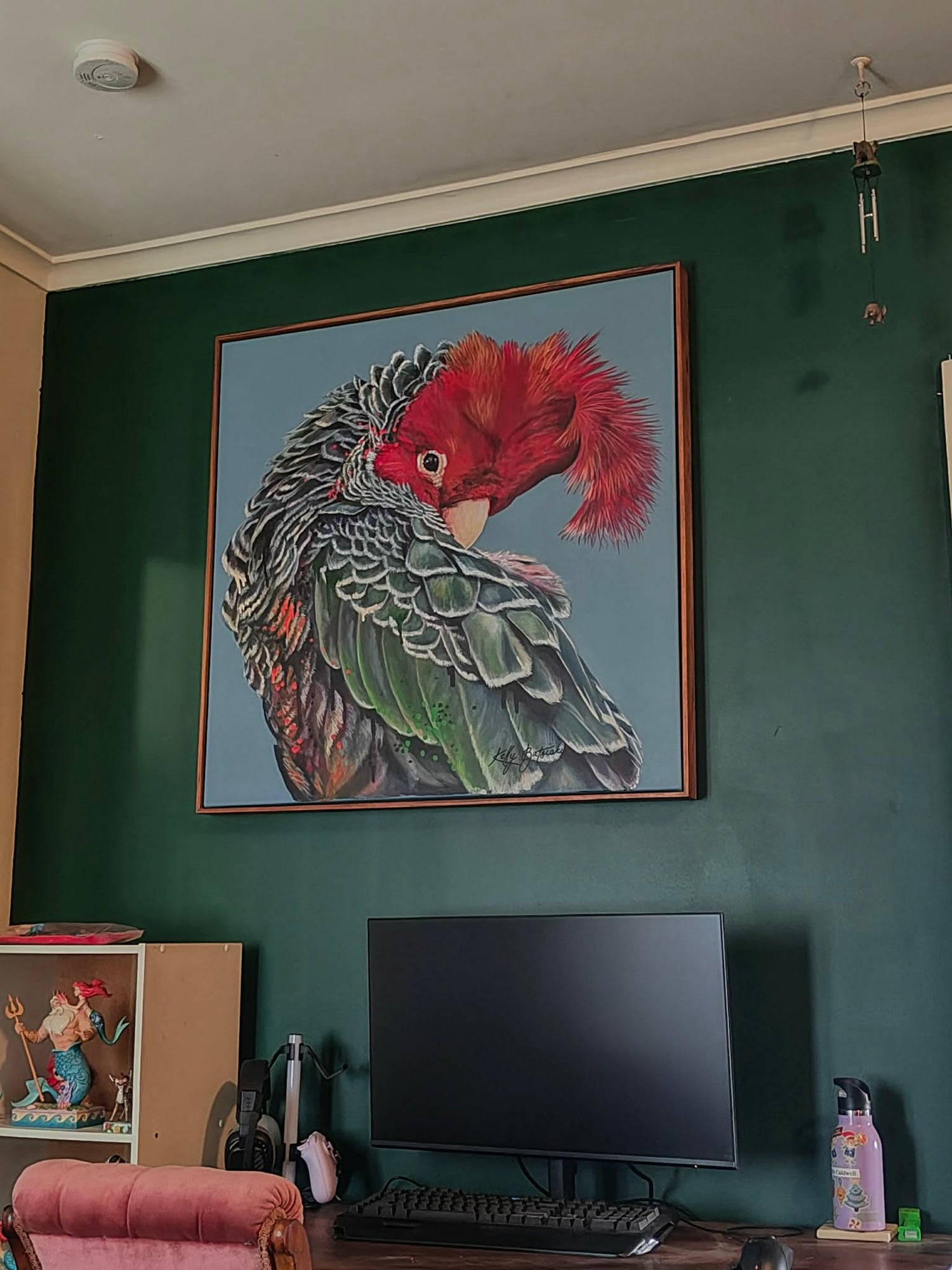 Garry the original living in his forever home in regional Victoria