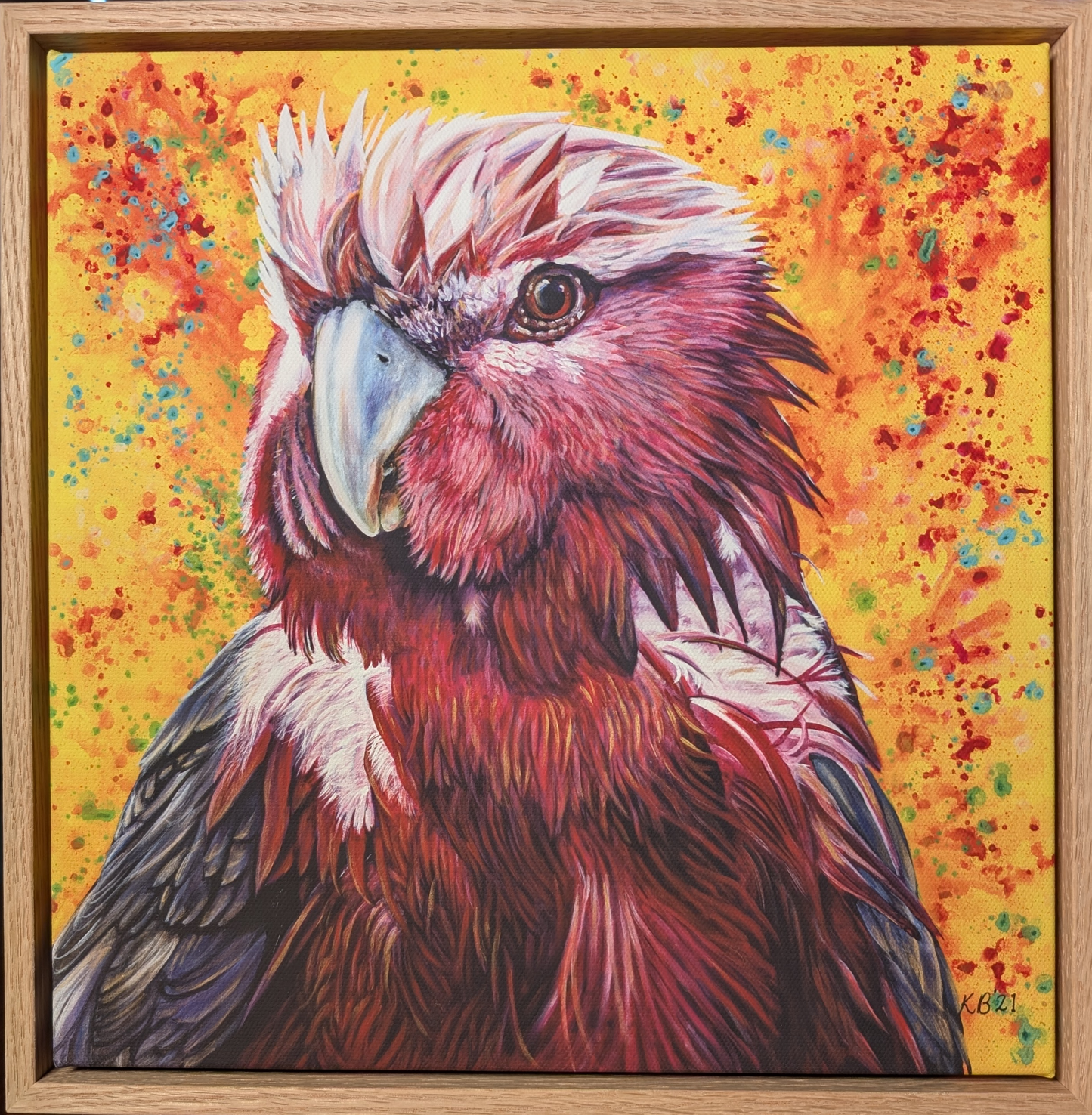 Wally the Galah framed fine art print by Kelly Batsiokis.