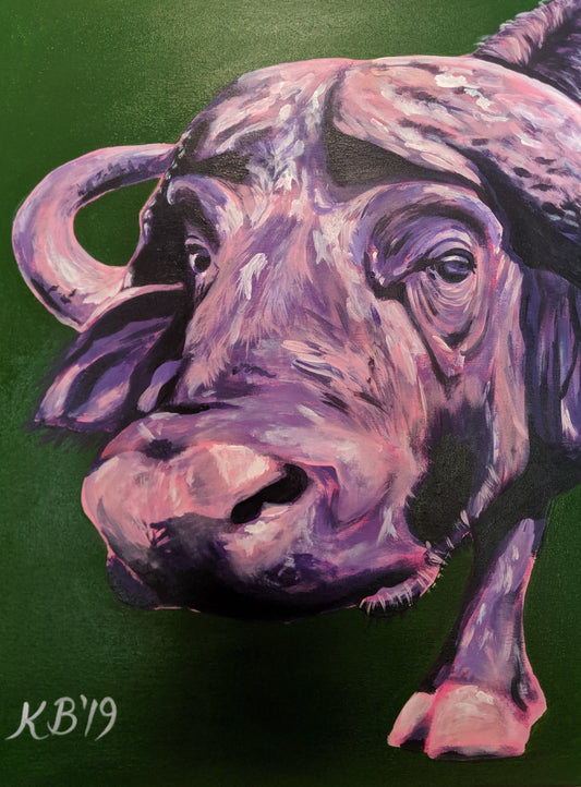 Bashful Buffalo - Kelly Batsiokis Art