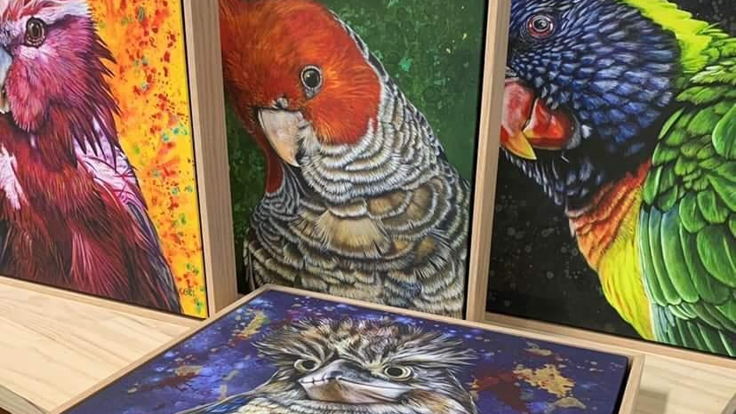 Framed bird art prints by Kelly Batsiokis