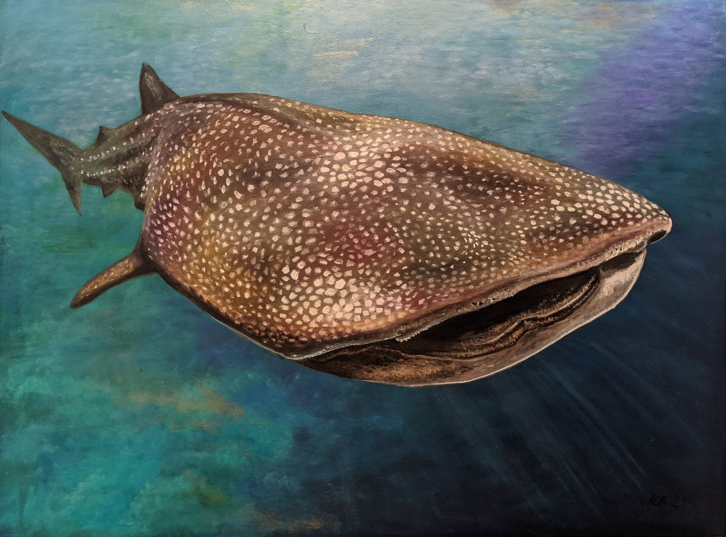 Gentle Giant - Whale Shark - Kelly Batsiokis Art