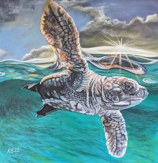 Just Keep Swimming - Sea Turtle - Kelly Batsiokis Art