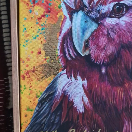 Video of Embellished fine art print of Wally the Galah by Kelly Batsiokis on a textured fabric background showing frame quality and sheen of gold-like foil.
