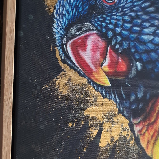 Video of framed embellished print of Shazza the Rainbow Lorikeet by Kelly Batsiokis showing the frame quality and also the effect of the gold-like foil in 3D.