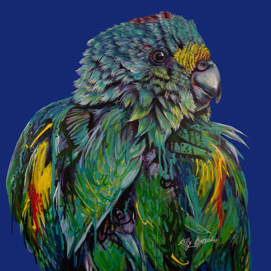 Murray the Mulga Parrot – A stunning artwork showcasing the vibrant colors and unique charm of this Australian bird. Original art by Kelly Batsiokis.