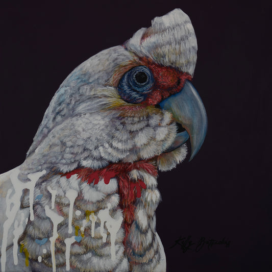 Cazza the Corella – A lively artwork capturing the playful charm and personality of this iconic Australian cockatoo. Original art by Kelly Batsiokis.